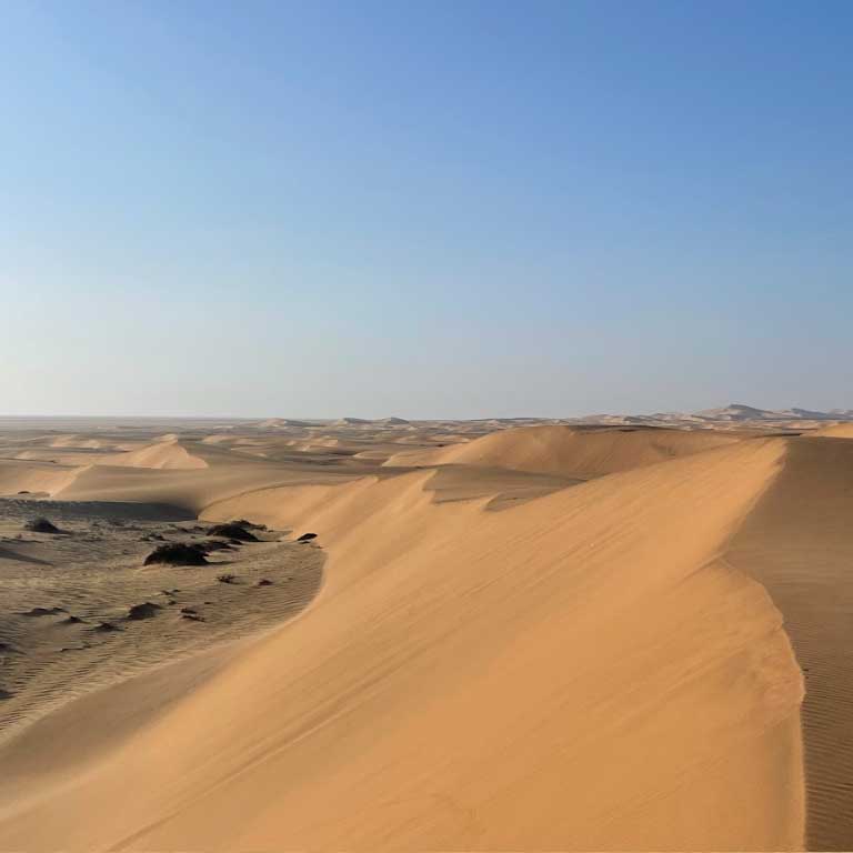 Namib Desert Dunes